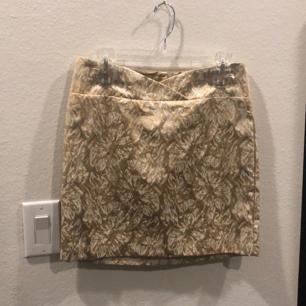 Champagne Embroidered Skirt